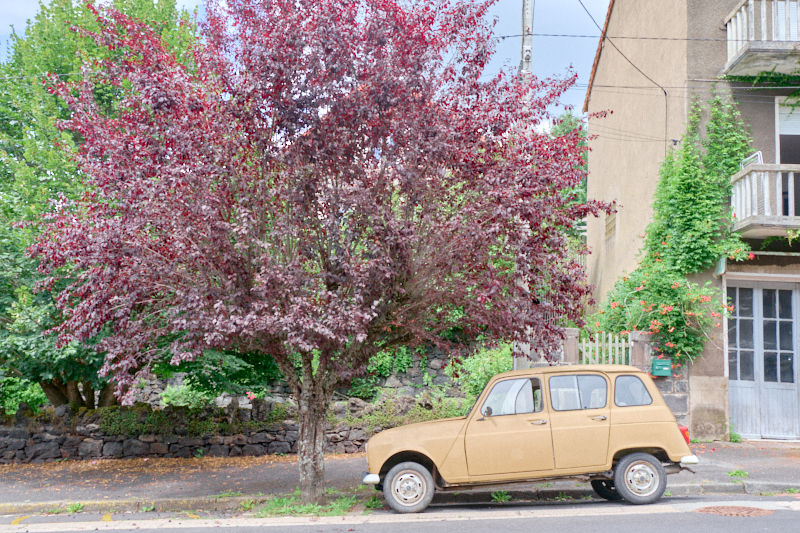 Photo d'une Renault 4L en frontal 